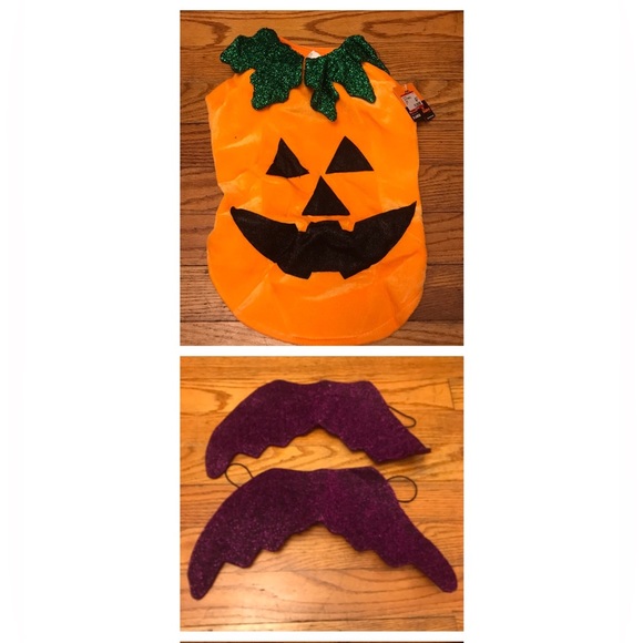 3 Dog Costumes - Two Bat Wing & One Jack-o-lantern š Halloween - M/L